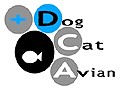 Pet Sitting Services Houston